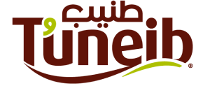 Tuneib Logo 1